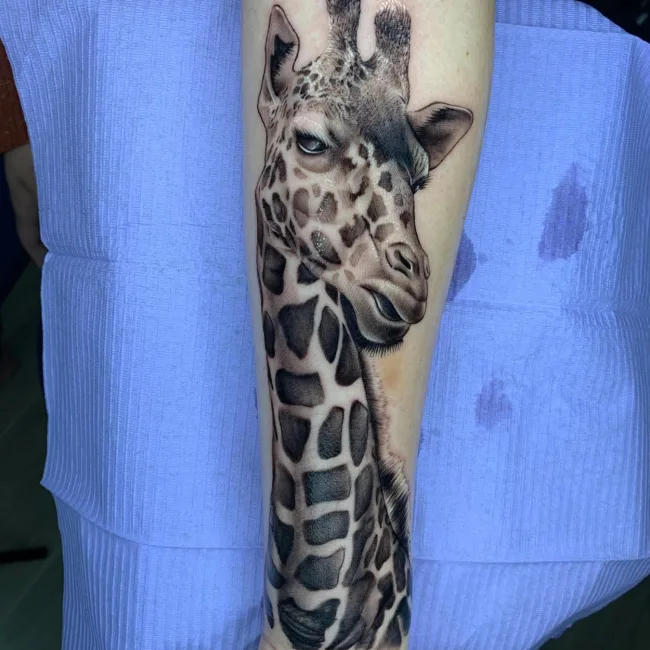 Black and Grey Realistic Tattoo Giraffe am Unterarm – Junior, Prime Ink Bremen