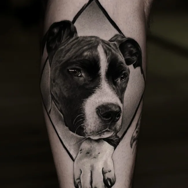 Realistic Black and Grey Tattoo Hundeportrait an der Wade – Vroma, Prime Ink Bremen