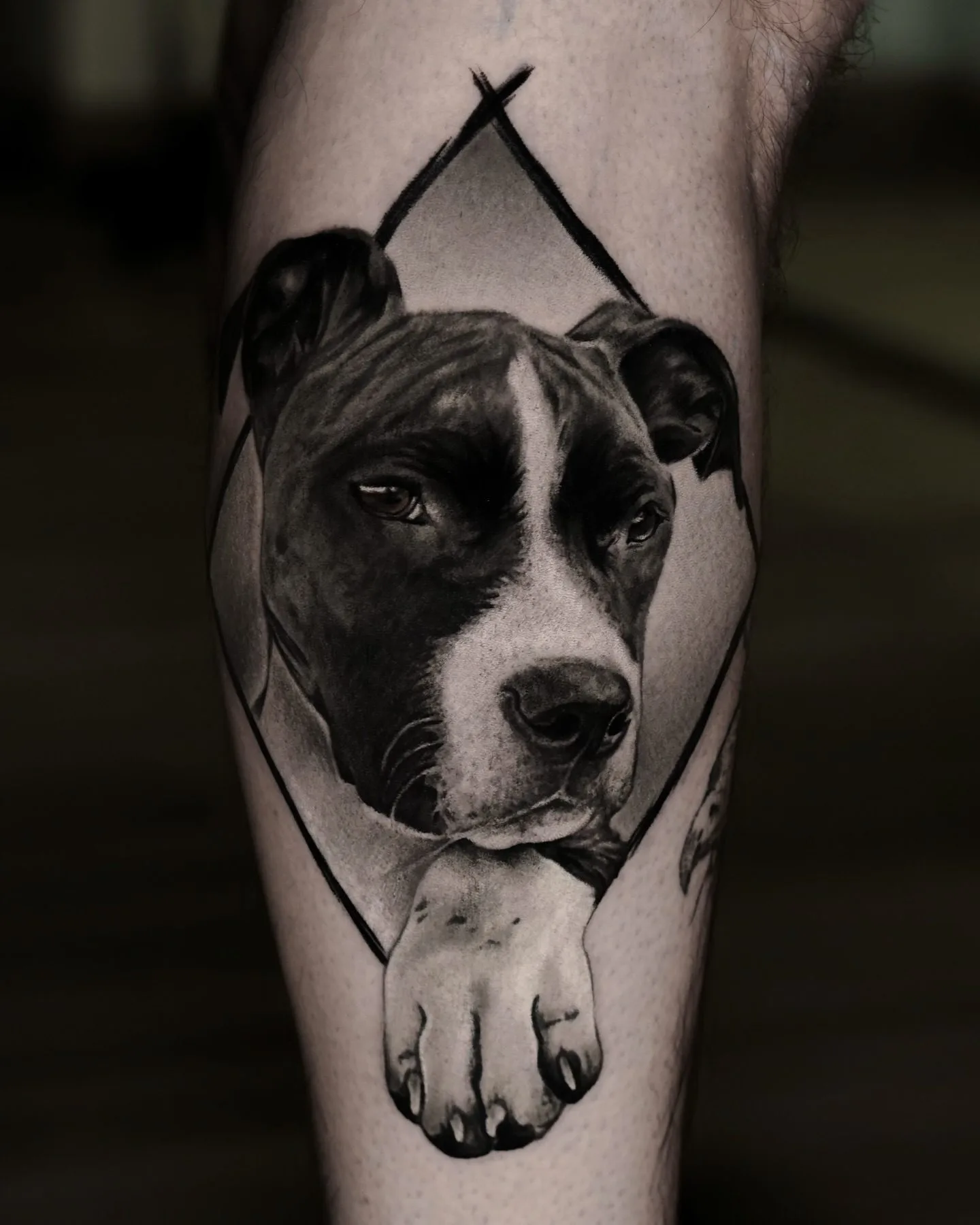 Realistic Black and Grey Tattoo Hundeportrait an der Wade – Vroma, Prime Ink Bremen